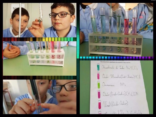collage continuità laboratorio di scienze