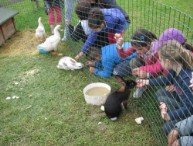 la vaccheria i bambini accarezzano i conigli
