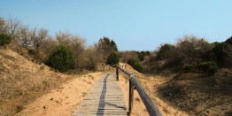 Percorso natura all'oasi di Cà Roman