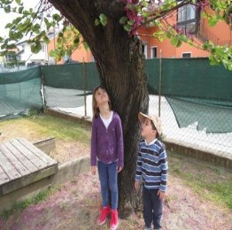 guardare I bambini osservano l'albero