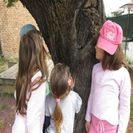 odorare I bambini annusano l'albero