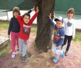 toccare I bambini toccano l'albero