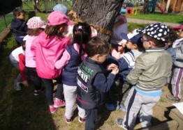 bambini I bambini cercano di disegnare la corteccia