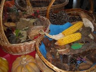 autunno I doni della terra