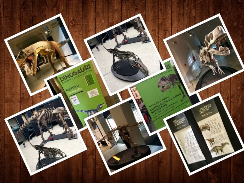 Collage Collage foto visita mostra dinosauri