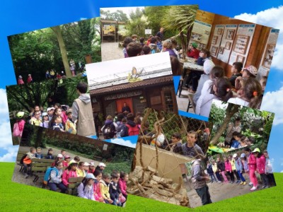 collage montegrotto Alcuni momenti della giornata al farfallario