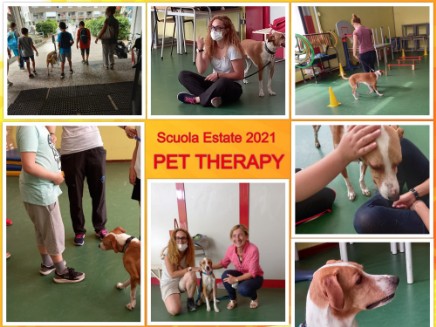 Collage di foto pet therapy