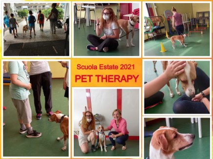 pet therapy 2021 Collage di foto pet therapy