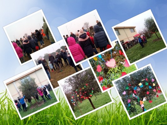 collage Foto collage della festa dell'albero