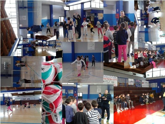 collage sport Collage di foto attività pallavolo