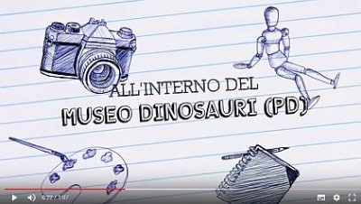 Video museo dinosauri
