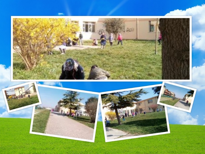 collage di foto