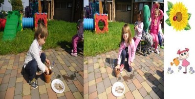 I bambini mettono i semi di girasole nei vasi
