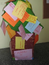 albero falcone Il nostro albero di Falcone