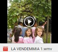 Collegamento al video: vendemmia