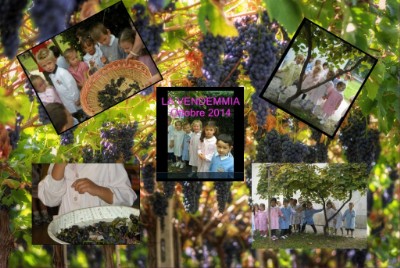 Vendemmia a scuola