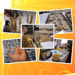 laboratorio Dal grano al pane