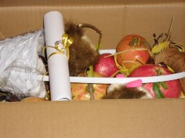 dentro la scatola frutta autunnale dentro la scatola